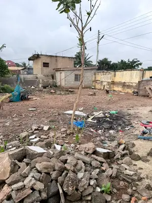 Lake Side Estate Land for Sale in a Serene Atmosphere