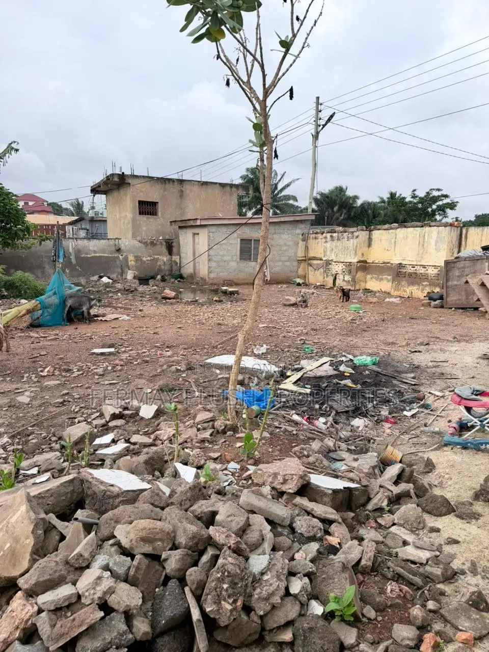 Lake Side Estate Land for Sale in a Serene Atmosphere