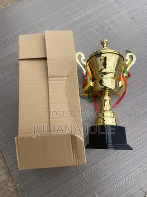 Original Big Trophy Available at Cool Price