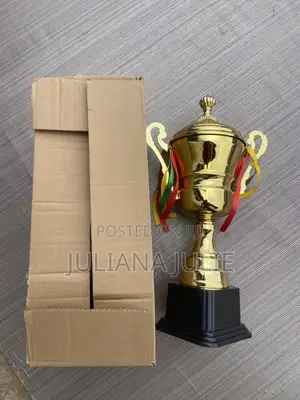 Original Big Trophy Available at Cool Price