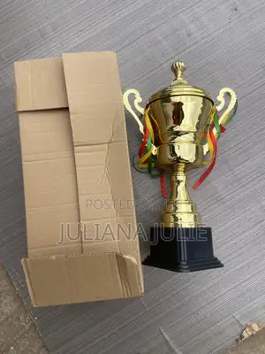 Original Big Trophy Available at Cool Price