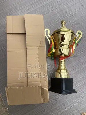 Original Big Trophy Available at Cool Price