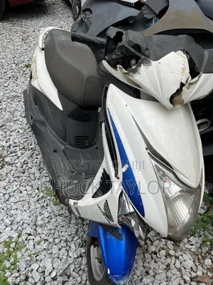 Honda Forza 2009 White