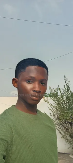 Emmanuel David Twum Ampofo