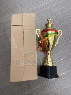 Original Trophy for Any Competition at Cool Price