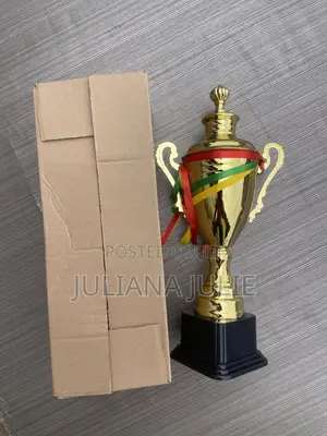 Original Trophy for Any Competition at Cool Price