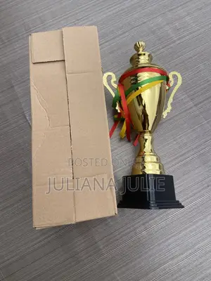 Original Trophy for Any Competition at Cool Price
