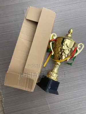 Original Trophy for Games Available at Cool Price