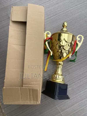Original Trophy for Games Available at Cool Price