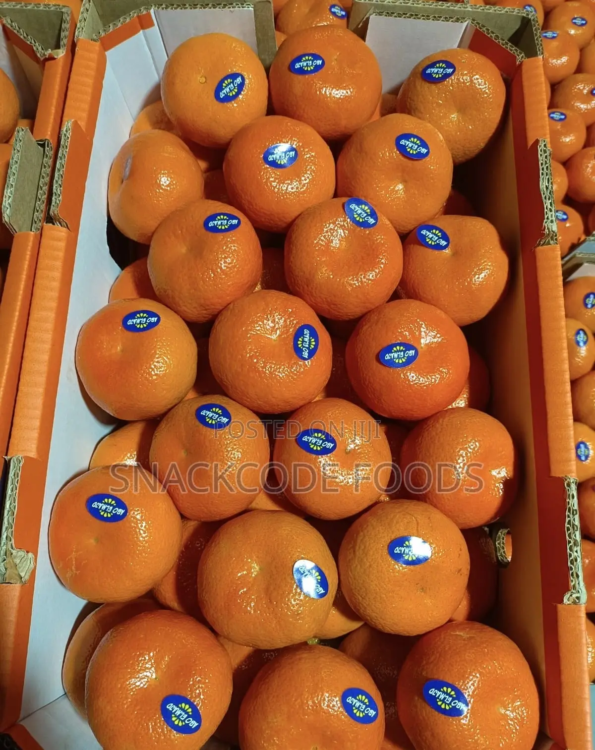Fresh Mandarins