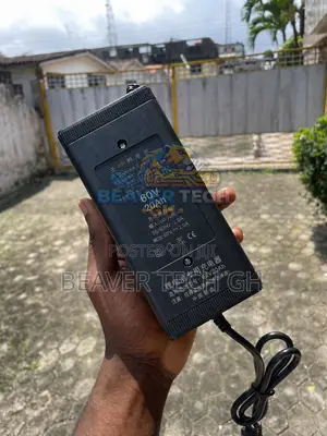 60V Intelligent Multi-Indicator Lead-Acid Battery Charger E-Scooter