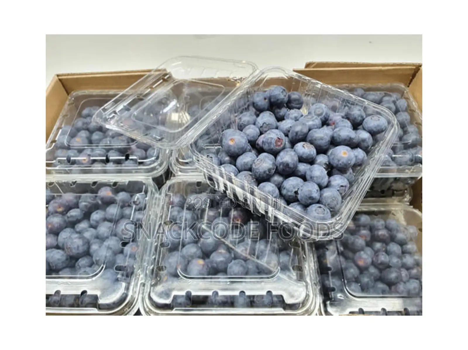Fresh Blueberry