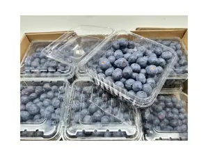 Fresh Blueberry