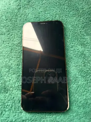 Apple iPhone 12 Pro Max 128 GB Purple