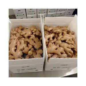 Fresh Ginger