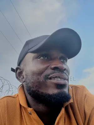I Need a Car to Drive Online Bolt or Yango