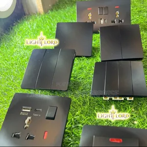 Avlon Socket and Switch