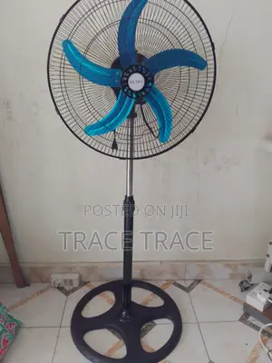 Standing Fan