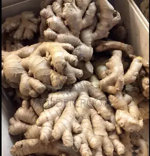 Fresh Ginger