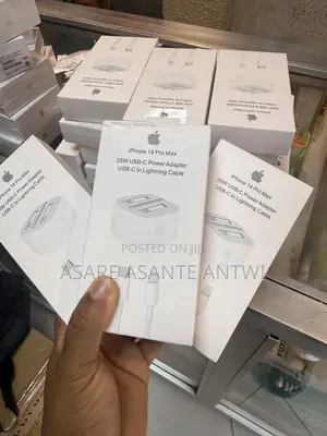 iPhone Charger