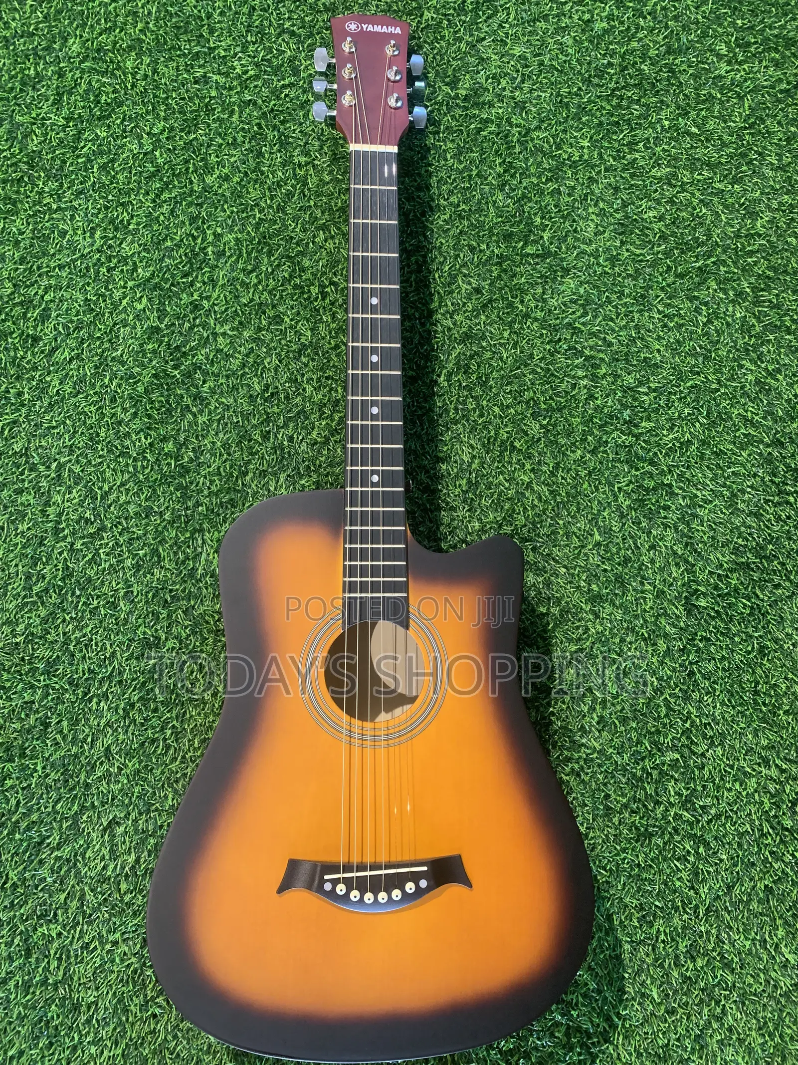 Acoustic Guitar