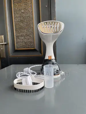 Electric Steam Iron
