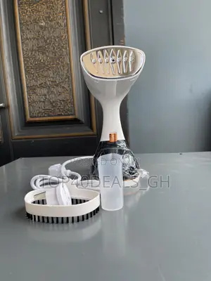 Electric Steam Iron