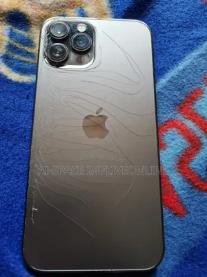 Apple iPhone 12 Pro Max 256 GB Gray