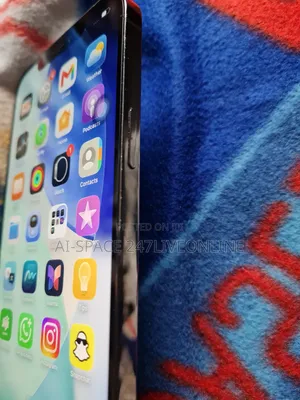 Apple iPhone 12 Pro Max 256 GB Gray