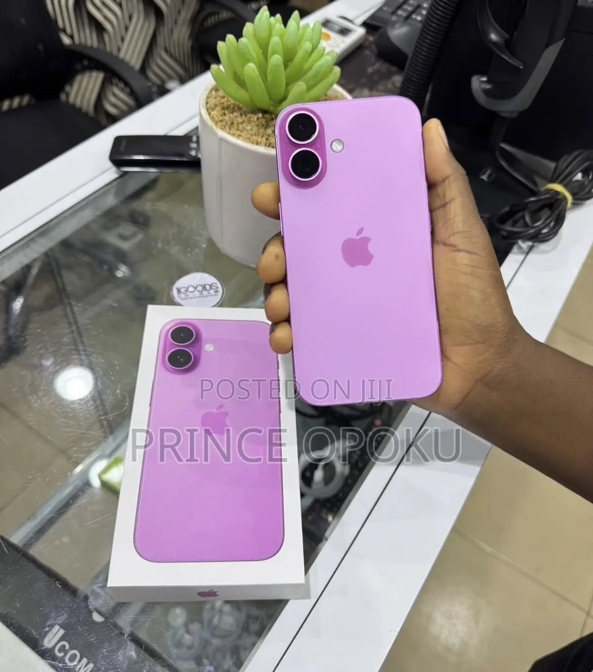 Apple iPhone 16 Plus 256 GB Pink