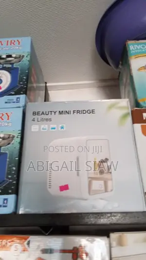 Mini Fridge