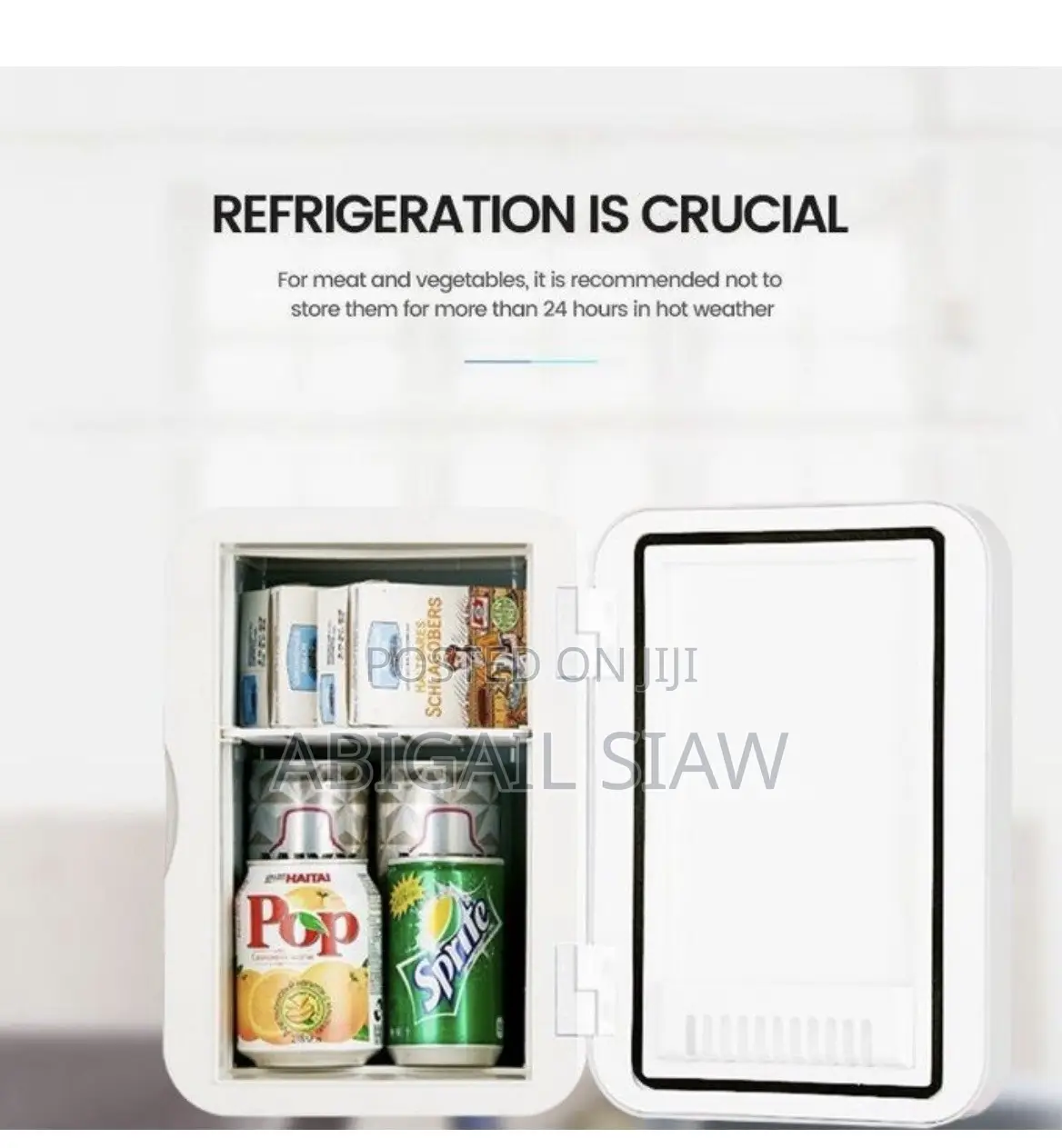 Mini Fridge