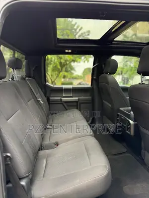 Ford F-150 2019 Gray