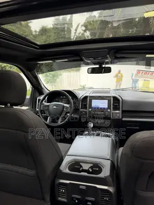 Ford F-150 2019 Gray