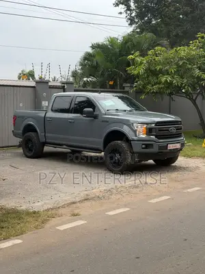 Ford F-150 2019 Gray