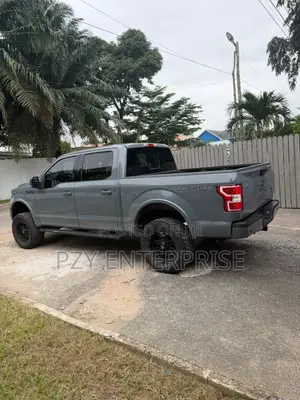 Ford F-150 2019 Gray