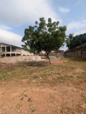 One Plot for Sale