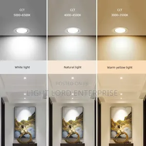 Proxy Down Led Light Conduct