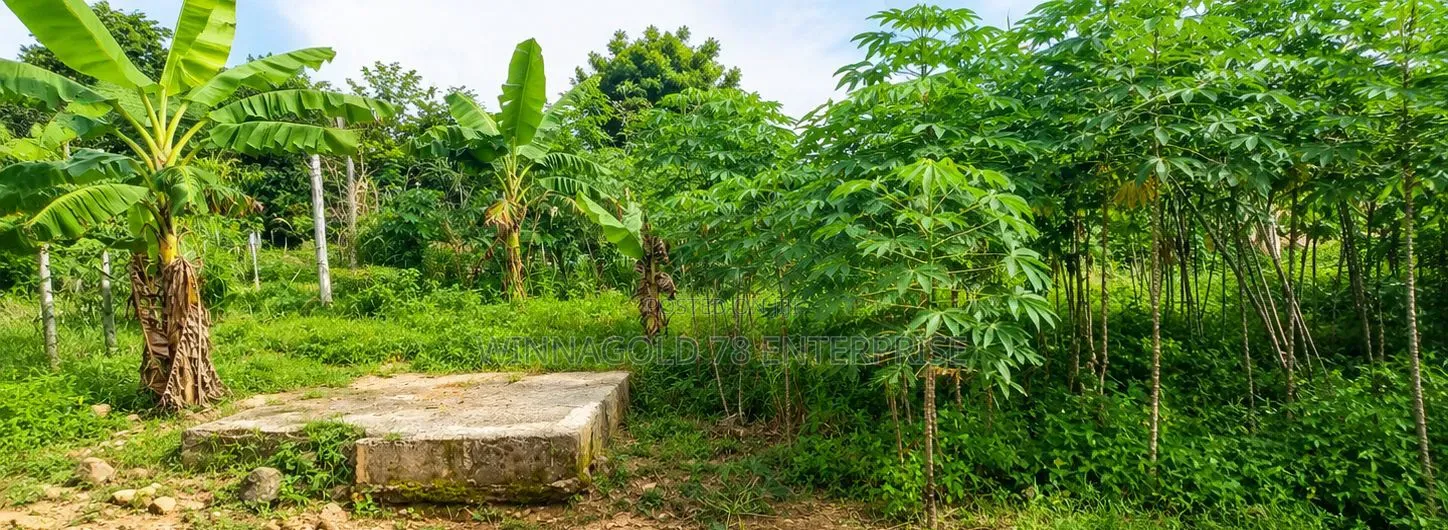 A Road Side Land at Tuska Opposite Akwamuman SHS Is for Sale