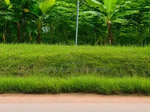 A Road Side Land at Tuska Opposite Akwamuman SHS Is for Sale
