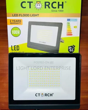 Ever Green 100watts Flood Light Ctorch