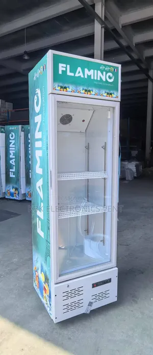 Flamino 300Liter Display Refrigerator