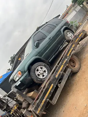Nissan Pathfinder 2002 Green