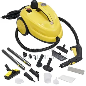 High Pressure Steam Cleaning Machine Cars,Floors,Kitchen Grease 2000W