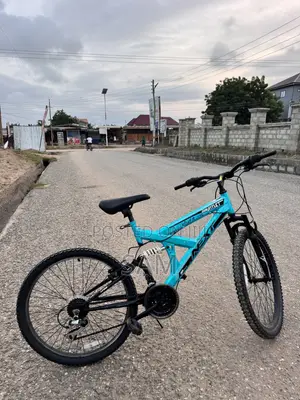 Bicycles From USA