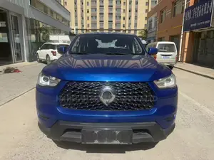 Great Wall Pao 2.0 Petrol AWD 2021 Blue