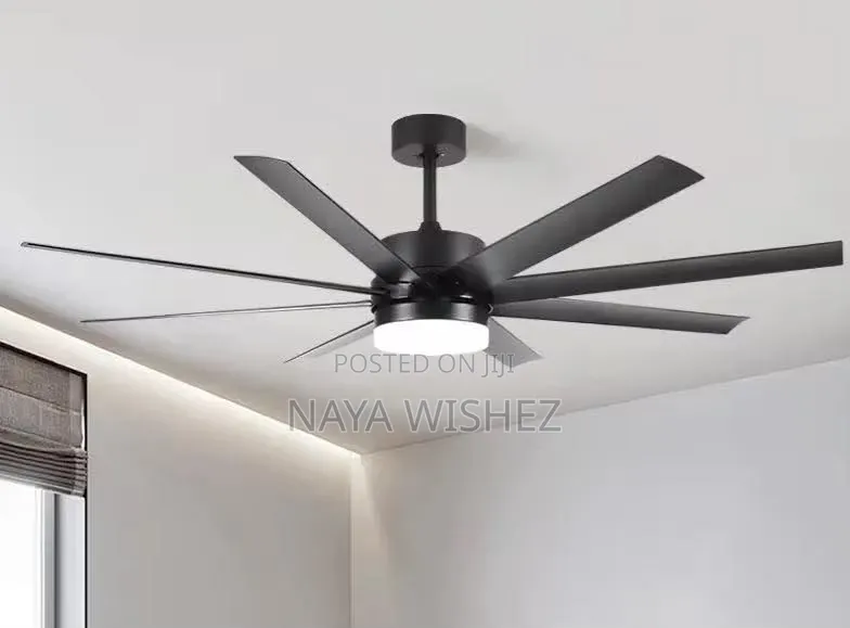 Ap Electricals