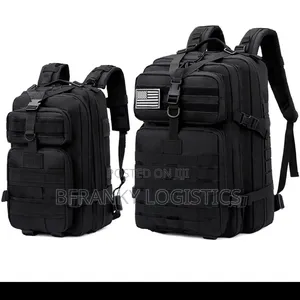 Large Backpack (Bag)
