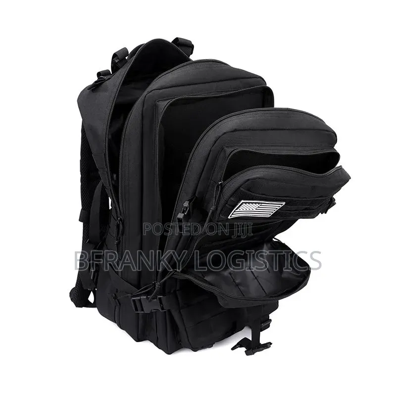 Large Backpack (Bag)