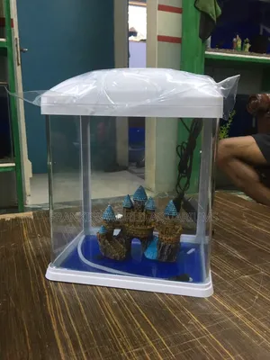 Mini Aquariums Tanks